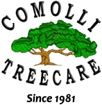 Arboriculture