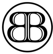 Professional bankruptcy attorney law firm