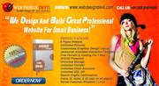 Professional Websites For All Sizes Of Business!