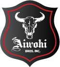 Affordable Heavy Vehicle Maintenance Services in Hawaii