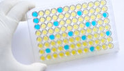 Dissolution Testing | VxPPharma