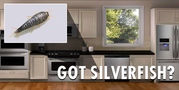 Reliable Pest Control Services in Philadelphia