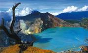 Acacia Tour and Travel - Ijen Crater Tour