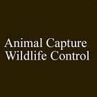 Animal Capture Wildlife Control