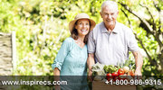 Reverse Mortgage Live Leads,  Debt Settlement Live Transfers