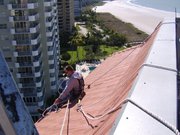 Bats In My Attic Vero Beach,  Florida