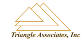 Triangle Associates Inc