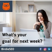 Get My Business Ranked - Birdie SEO