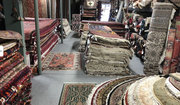 Modern Carpets in Denver