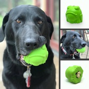 Bullfrog – Chew Toy & Treat Dispenser