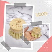 REFILL HEAD- Kitchen Brush