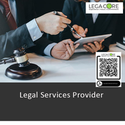 Dynamic Legal Services Provider 