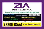 Zia Pest control Rodent Pest treatment 100 Safe and Result 