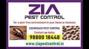 Service,  Other,  Home Service,  Pesticides,  Pest control Solution.Cockro