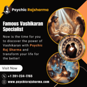 Famous Vashikaran Specialist Astrologer in New Jersey