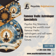 Famous Vedic Astrologer in New Jersey