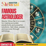 Famous Astrologer in California | Best Spiritual Reading in California