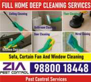 Service, Deep Cleaning,  House Cleaning,  Pest control Solution.